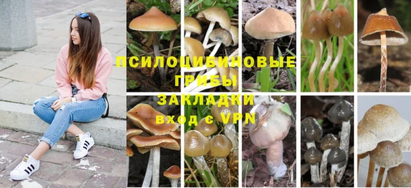 синтетический гашиш Волосово