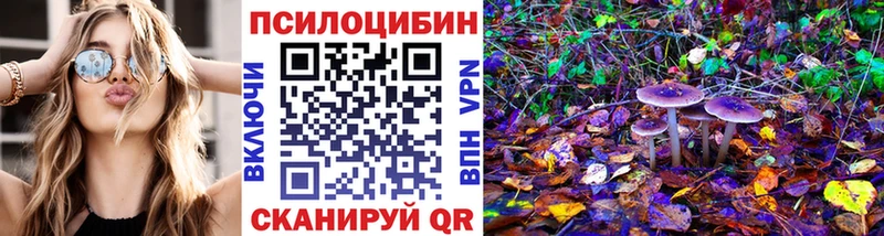 Псилоцибиновые грибы ЛСД  Купить где  Боровичи 